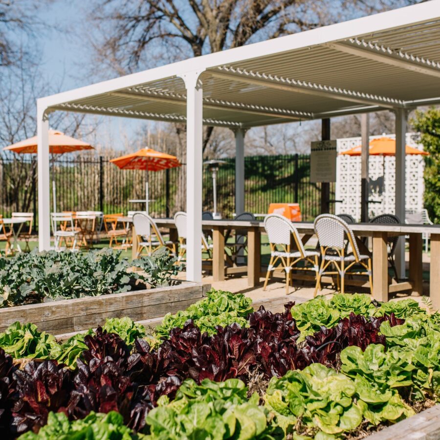 Fort Worth’s 25 Best Patios - Fort Worth Digital Diary gives you a ...