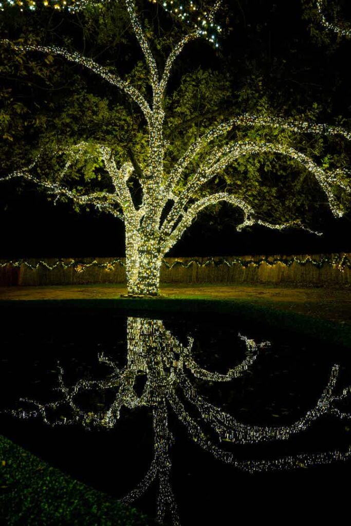 Arlington Christmas - Frostival at Howell Family Farms