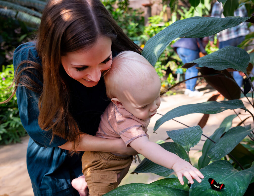 FWBG Butterflies exhibit is fun for all ages