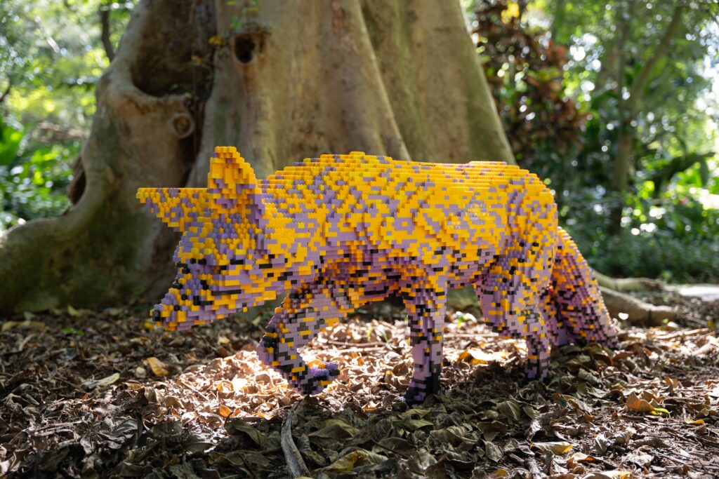 Nature POP - A colorful fox on the prowl